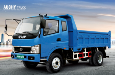 Cargo Dump 2WD Diesel New Truck for Sale From China Image1