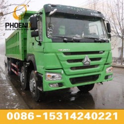 Bright Green Colour 375HP Dump Truck 8X4 with Excellent Quality Low Price in Africa Hot Sale
