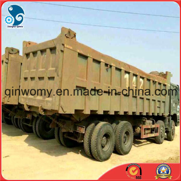 Used Wheel HOWO Heavy Dump Cargo Truck (8*4, 12Tyres, diesel-engine) Image1