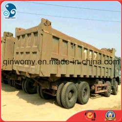 Used Wheel HOWO Heavy Dump Cargo Truck (8*4, 12Tyres, diesel-engine)
