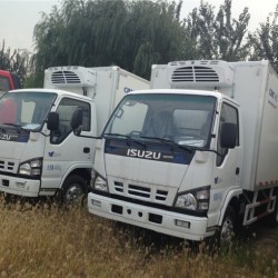 China Brand Isuzu Engine 4X2 Refrigerated Truck