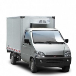 0.6 Ton Freezer Mini-Truck, Freezer Truck, Refrigerated Truck