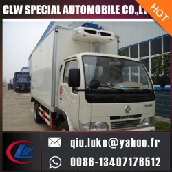 Good Price Quality Japan Engine Freezen Refrigerated Truck for Sale