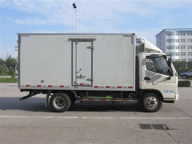 Euro II 6 Wheels 10 Wheels Refergerated Van Truck Image1