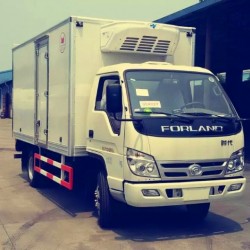 4*2 Foton Forland Exporting Refrigerator Freezer Truck