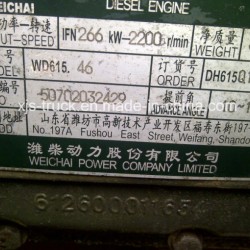 Dongfeng (DFAC DFCV) Truck Wd615.46 Engine
