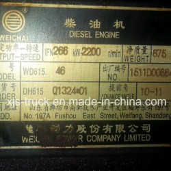 JAC Truck Engine Weichai (Wd615.46 Dh615 Q1324*01)