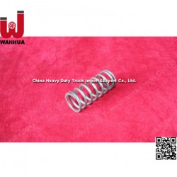 Sinotruk Engine Vg615 Valve Spring Truck Parts (Vg1500050001)