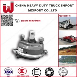 Sinotruk HOWO Truck Parts Diaphragrm Cyl. Left (Wg9000360100)