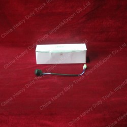 Sinotruk HOWO Truck Electrical System Parts Exhaust Brake Switch (Wg9719710001)