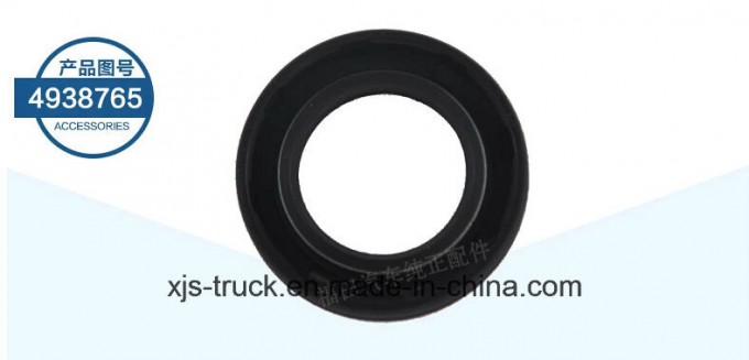 Foton Aumark Truck Cummins Ifs3.8 Engine Seal, Oil (4938765) Image1