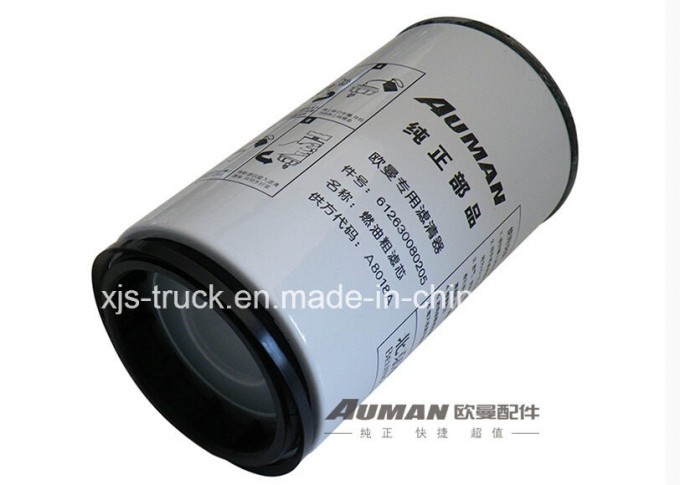 Foton Auman Truck Fuel Filter Assembly (S612630080205A8018) Image1