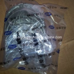 JAC Engine Yz4108 Connecting Rod Bearing (Ty102-03112)