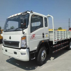 Sinotruk HOWO Mini Truck 6 Wheels with High Weight Capacity