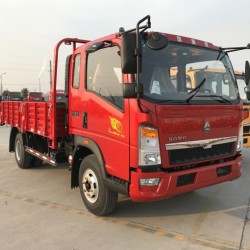 HOWO 4X2 Light Truck Standard Form Zz1047D2613D1y42 4 Wheels