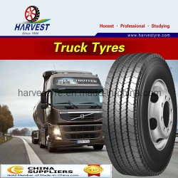 Popular Radial Truck