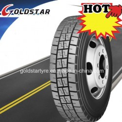 Radial Truck Tyre 1000r20 with Bis for Indian Market