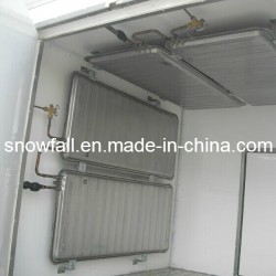 Refrigerated Truck Body (FRP Sandwich Panel) for Ice Cream Transportation