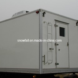 Professional Van/Cargo Box/Truck Body for Sale