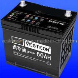 12V Lead Acid Dry and Mf Car Battery Truck Battery