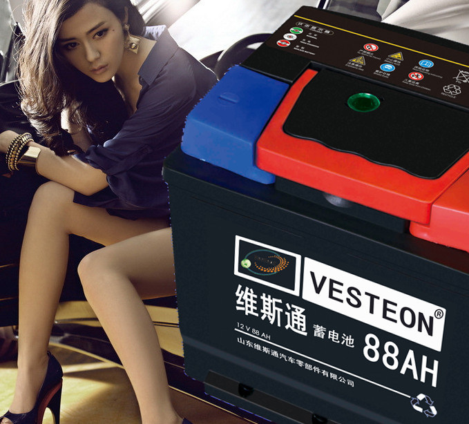 12V Maintenance Free Car Truck Battery Image1