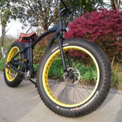500W/750W Bafun Motor Fat Tire Wholesale Electric Bicycle