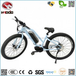 250W 26 Inch Fat Tire Electric Mountain E-Bike MID Motor Disk Brake Lithium Battery Bicycle