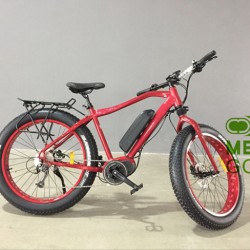 High Quality Ce Approved Center Motor Electric Fat Tire Bike