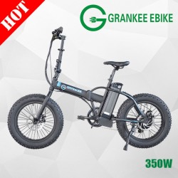 250W 350W 20′′folding Fat Tire Electric Mountain Bike Cheap Man Beach Cruiser Bicycle