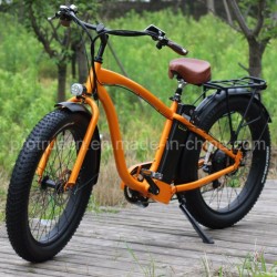 4.6 Inch Fat Tire Electric Bike with Ce En15194