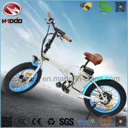 Foldable 350W Electric Bicycle Lithium Battery Fat Tire Folding Bike En15194 Apporved
