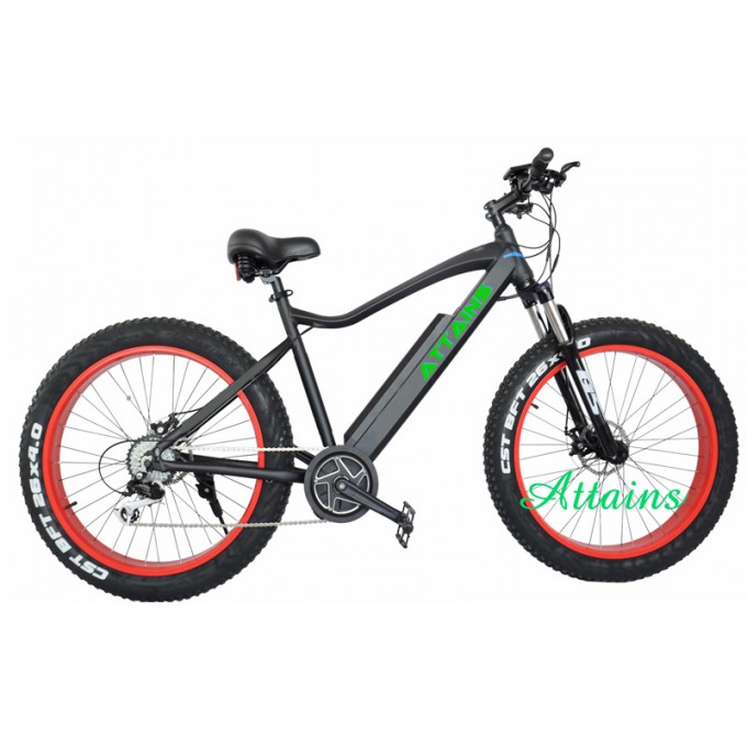 48V 11.6ah Battery Mountain 750W Brushless Hub Motor Fat Tire Electric Bike Image1