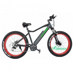 48V 11.6ah Battery Mountain 750W Brushless Hub Motor Fat Tire Electric Bike