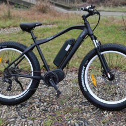 En 15194 250W Bafang MID Motor Fat Tire Mountain Electric Bike