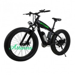 250W/500W750W Fat Tire Electric Snow Mountain Beach Bike