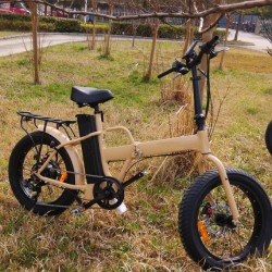 20 Inch 250W/350W/500W Folding Fat Tyre Electric Bike with Ce