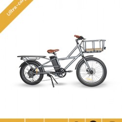 Fat Tire Cargo Electric Bike with Front and Rear Basket