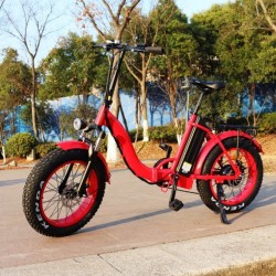 20inch Folding Fat Tire 500W E Bike