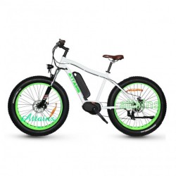 Fat Tire Electric Bike E-Bike with Ce En15194