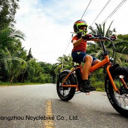 48V 500W Geared 20" Folding Electric Snow Beach Cruiser Bike Fat Tire Ebike