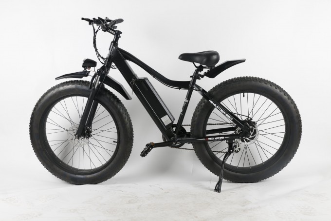 Snow Field Fat Tire Ebike Image1