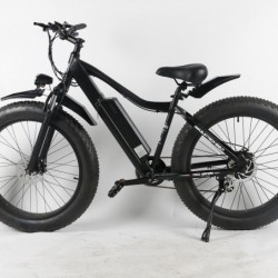 Snow Field Fat Tire Ebike