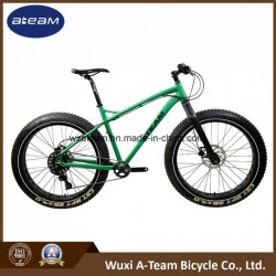 Sram Nx 1*11 Speed 26" Alloy Snow 