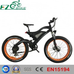 Aluminium Fat Tire Electric Mountain Bicycle with Ce En15194