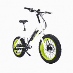 High Quality Ce Approved Lithium Power Electric Fat Tire Bike