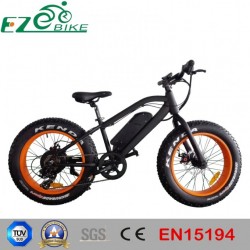 Electric Bicycle with Fat Tire for Children