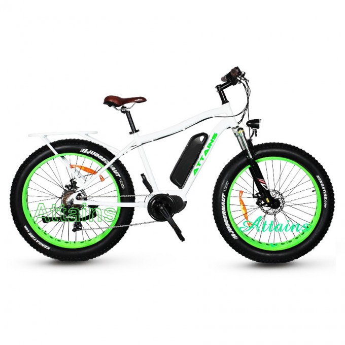 500W Big Power Fat Tire Mountain Electric Bicycle Image1