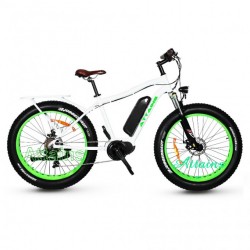 500W Big Power Fat Tire Mountain Electric Bicycle