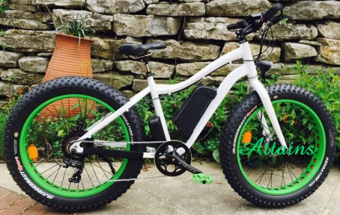 Fat Tire Dirt Snow Mountain Electric Bike with Pedal Assisted Image1