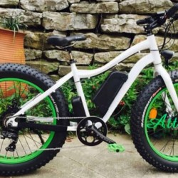 Fat Tire Dirt Snow Mountain Electric Bike with Pedal Assisted